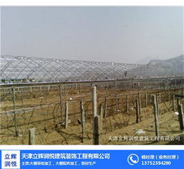 日光大棚助力邵陽城市形象提升——立輝潤悅建筑工程公司專業(yè)建設(shè)多圖賞析