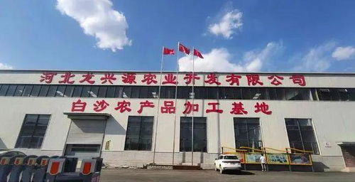 天天12條 愛心傳遞與政策調(diào)整，邯鄲展現(xiàn)溫暖城市形象